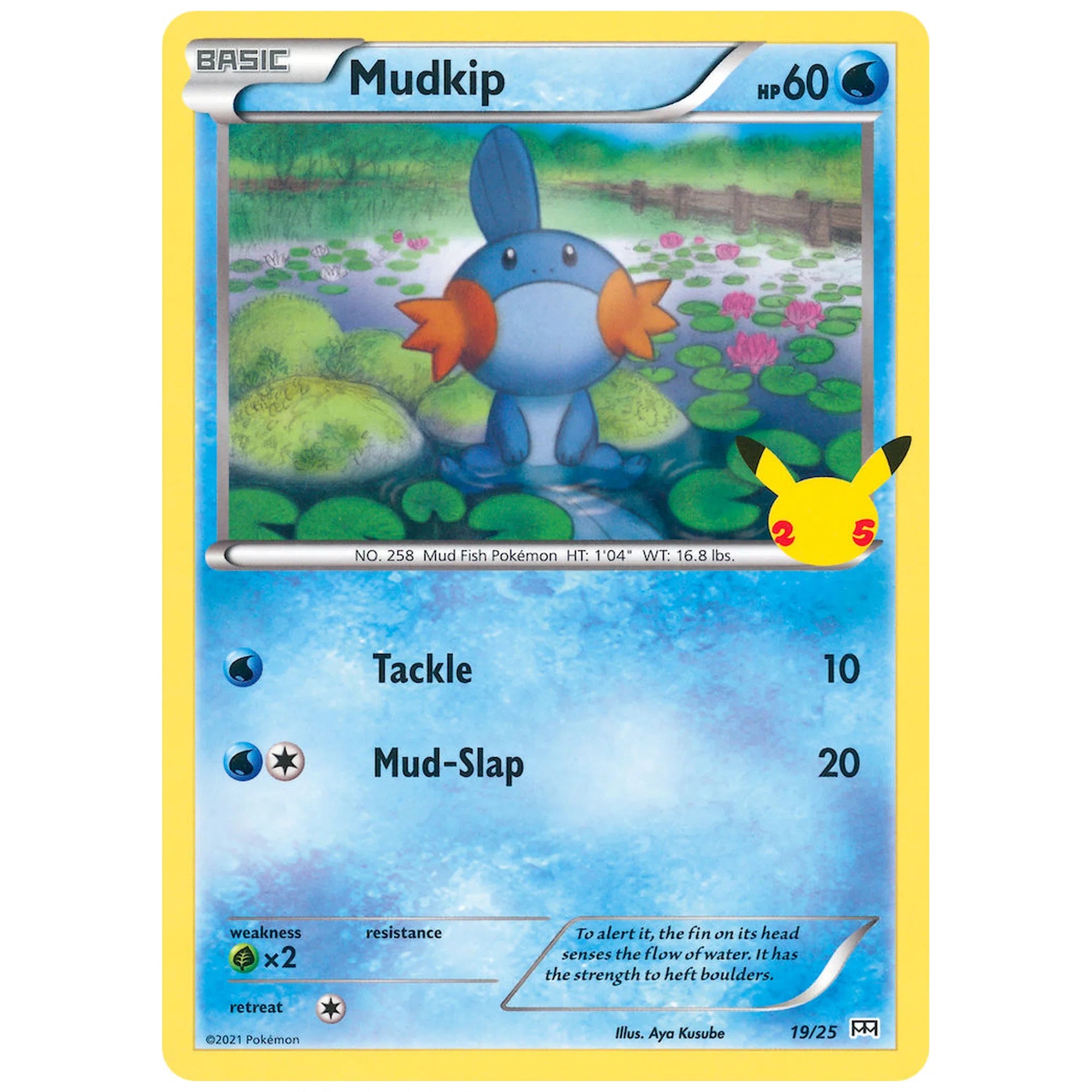 pokemon-tcg-mudkip-019-025-hakoo-box-carta-frente.webp