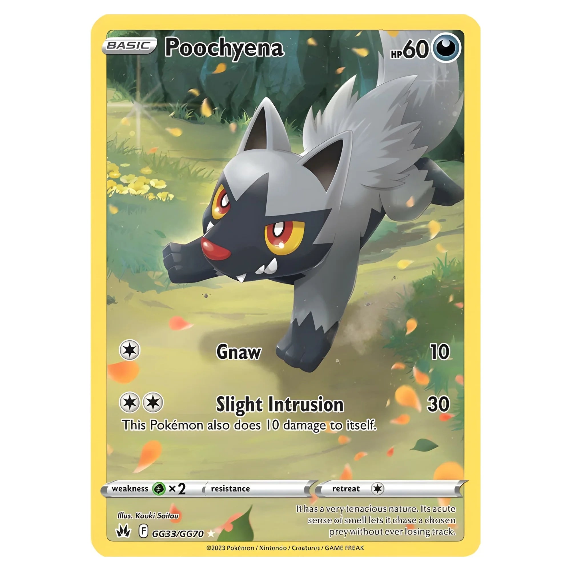 pokemon-tcg-poochyena-gg33-gg70-ingles-hakoo-box-carta-frente.webp